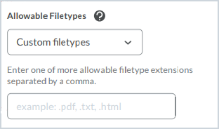 The Allowable Filetypes filed with the Custom filetypes option selected opens a text field to list the allowable file extensions