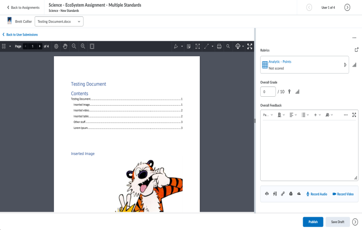 Instructor view when evaluating assignments in the consistent evaluation experience
