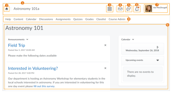 Common elements in the Brightspace Learning Environment interface