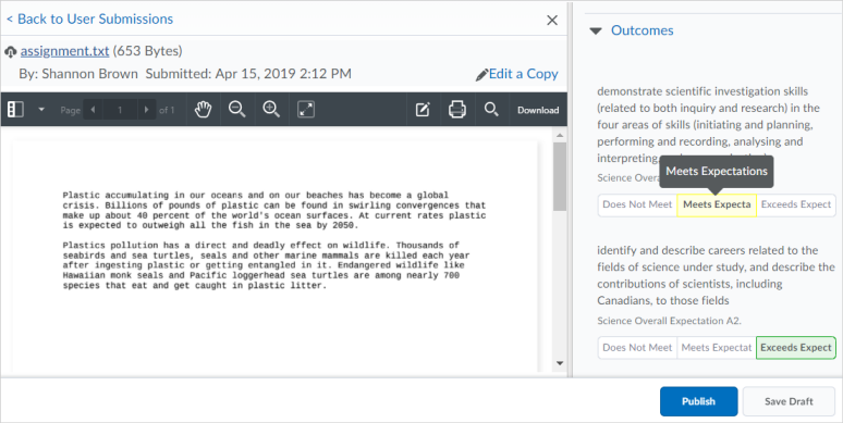 Assessing a learner against specific learning outcomes in an assignment