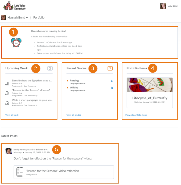 Visual overview of Brightspace for Parents